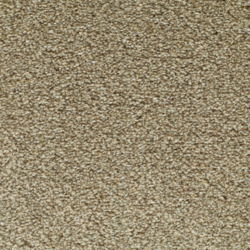 canterbury-sticky-toffee-20x20-main canterbury-sticky-toffee-20x20-main