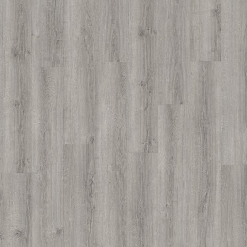 colosseum-express-cotillo-oak-100x100 colosseum-express-cotillo-oak-100x100