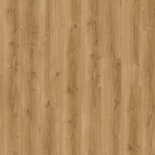 colosseum-express-elba-oak-100x100