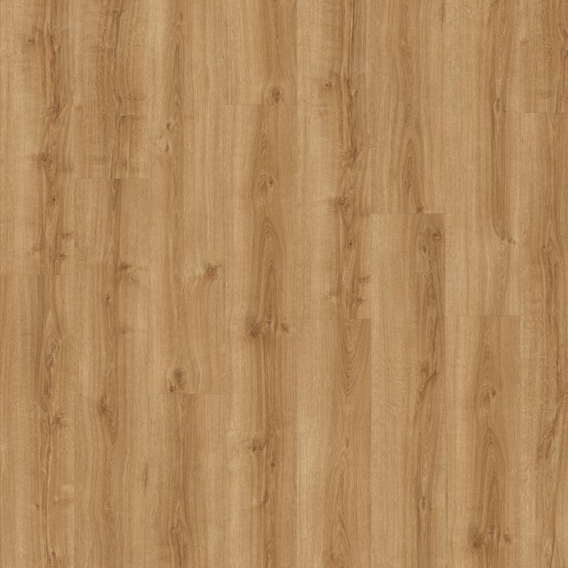 colosseum-express-elba-oak-100x100 colosseum-express-elba-oak-100x100