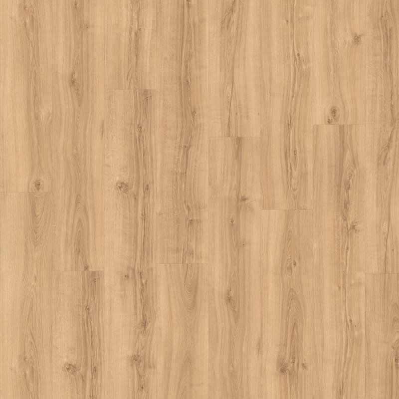 colosseum-express-sepino-oak-100x100 colosseum-express-sepino-oak-100x100