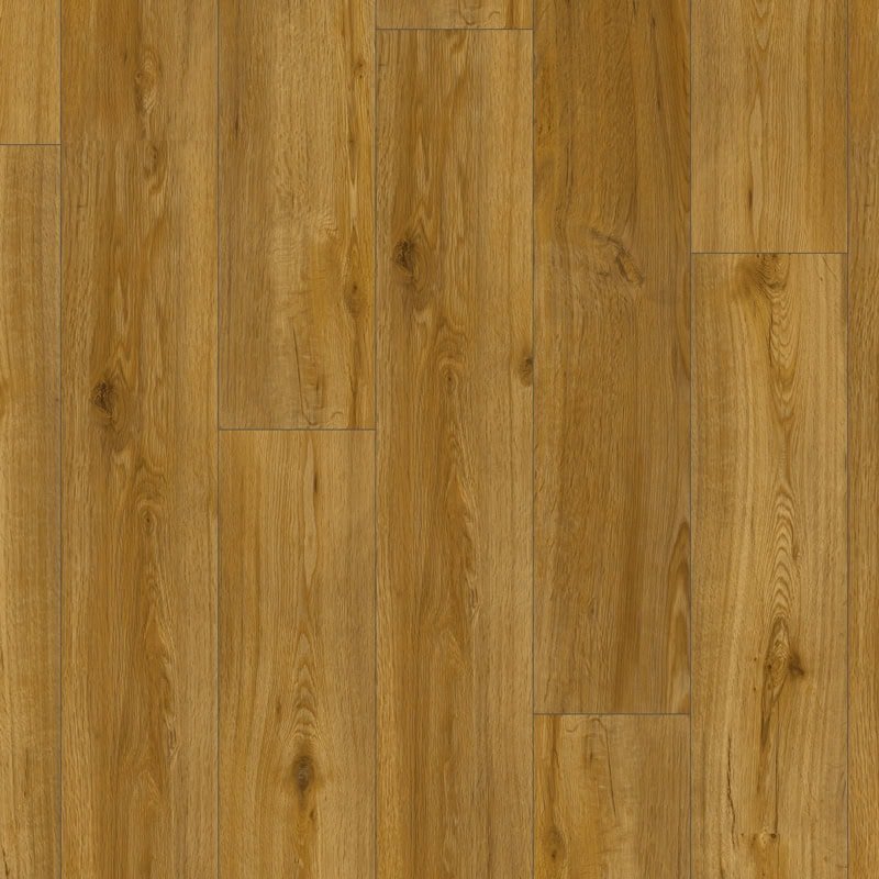 galleria-forest-oak-100x100 galleria-forest-oak-100x100