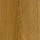 forest-oak