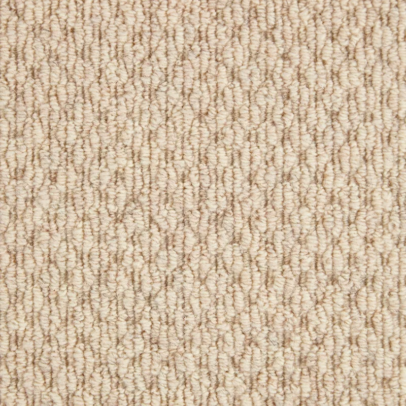 sandy-springs-braid-cremello-20x20-main