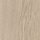 conceptual-oak