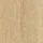 major-oak-381m