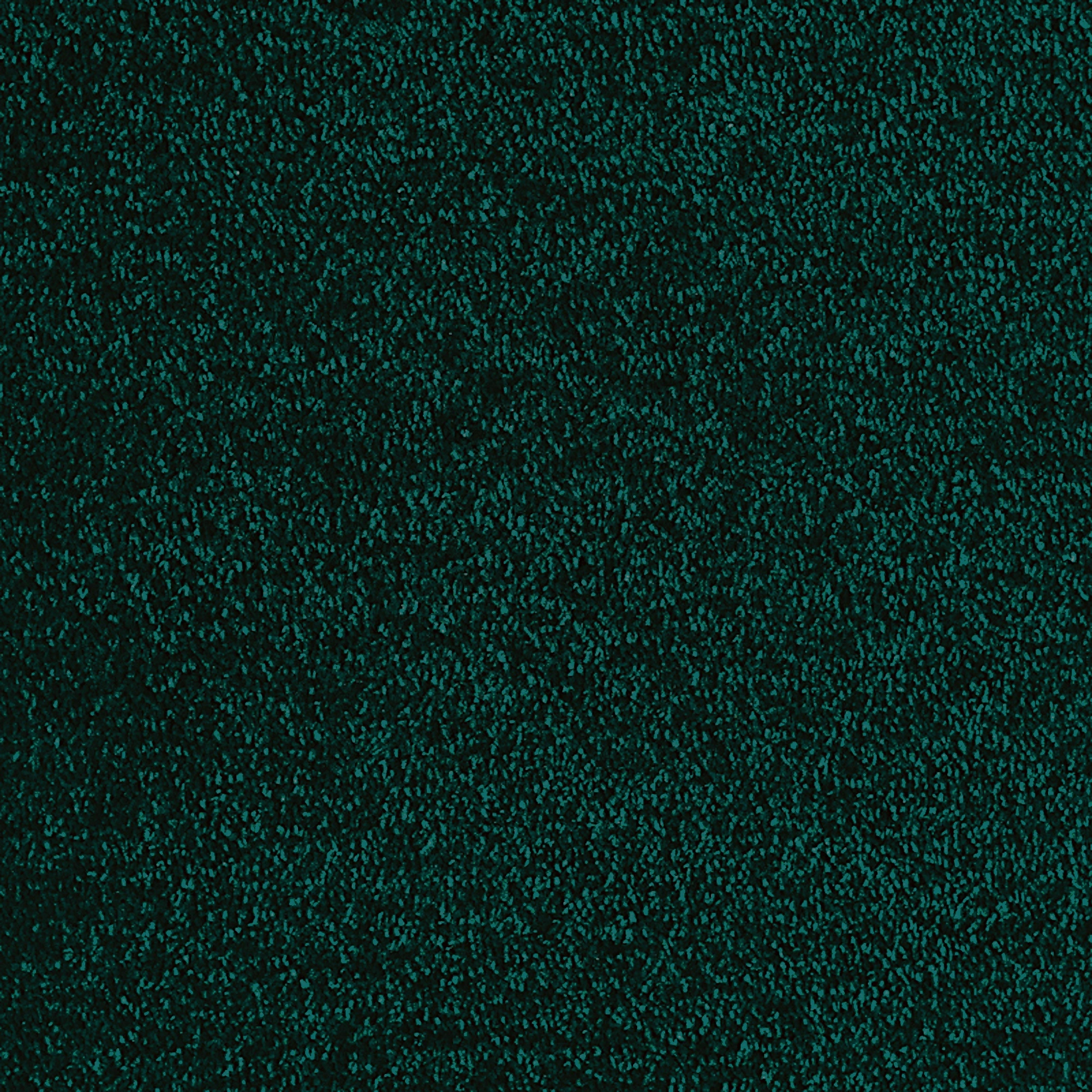 valentine-albert-20x20-main valentine-albert-20x20-main