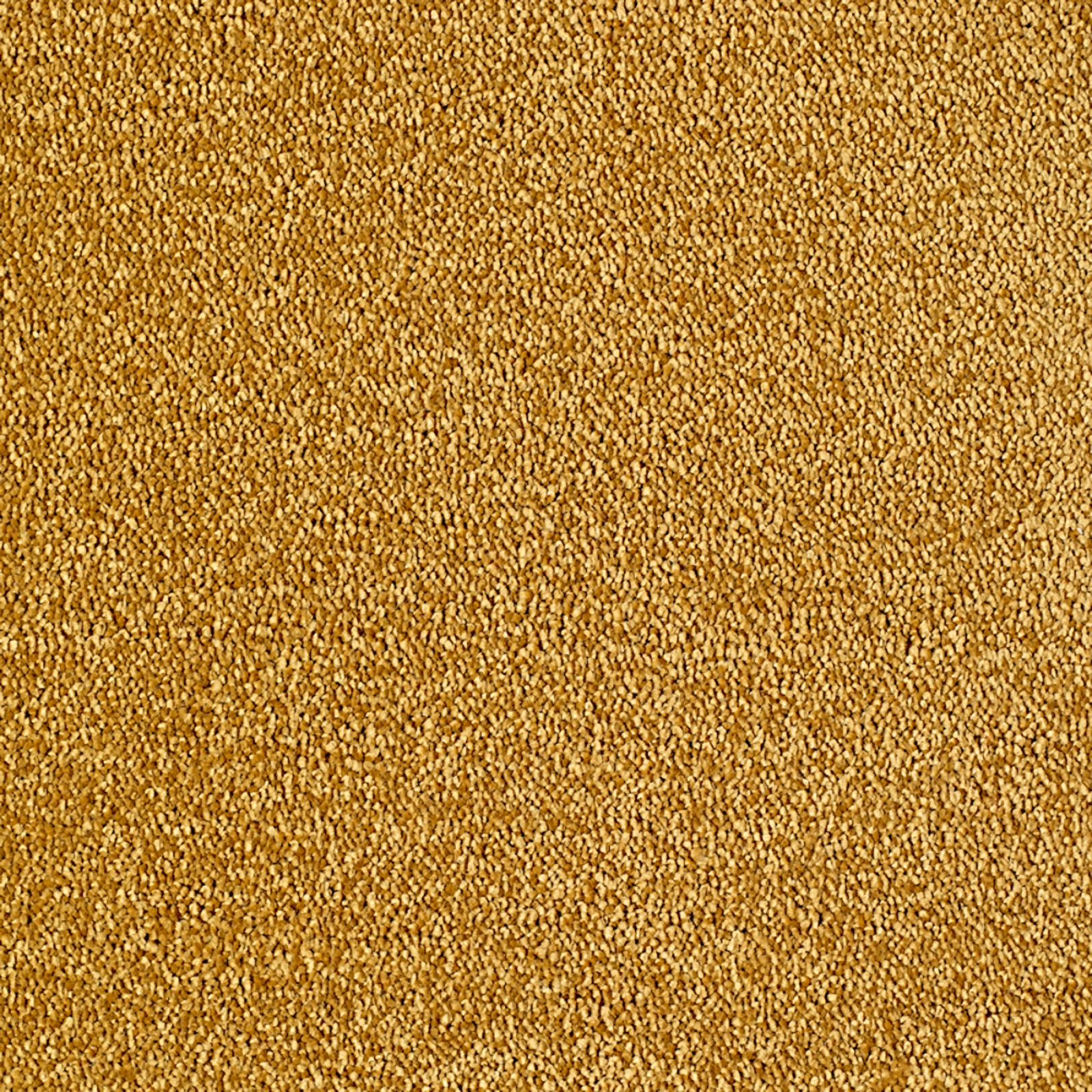 valentine-johnny-20x20-main valentine-johnny-20x20-main