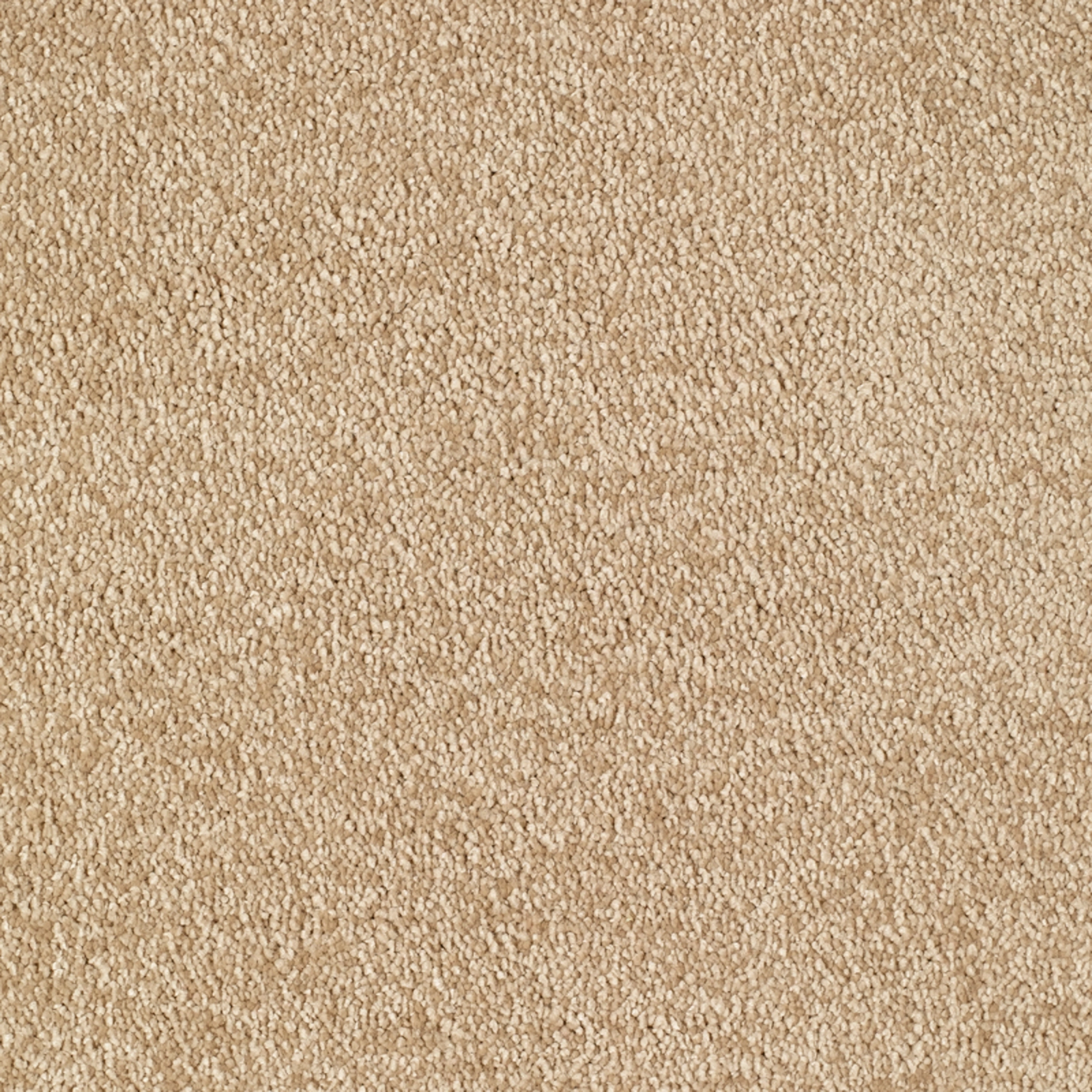 valentine-sandy-20x20-main valentine-sandy-20x20-main