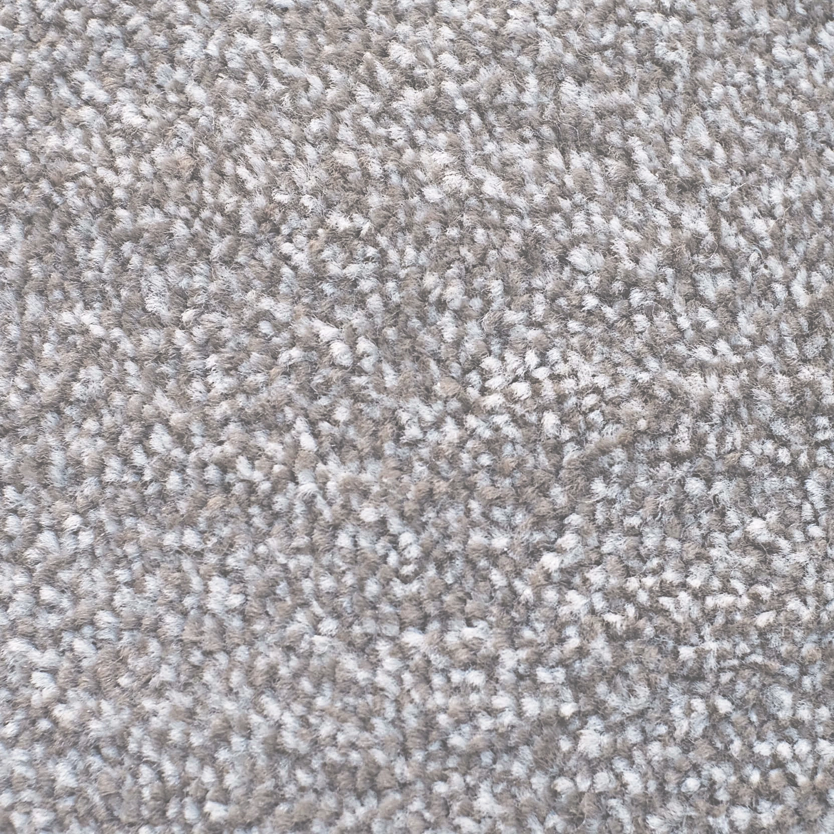 MELBOURNE-HICKORY(1) MELBOURNE-HICKORY(1)