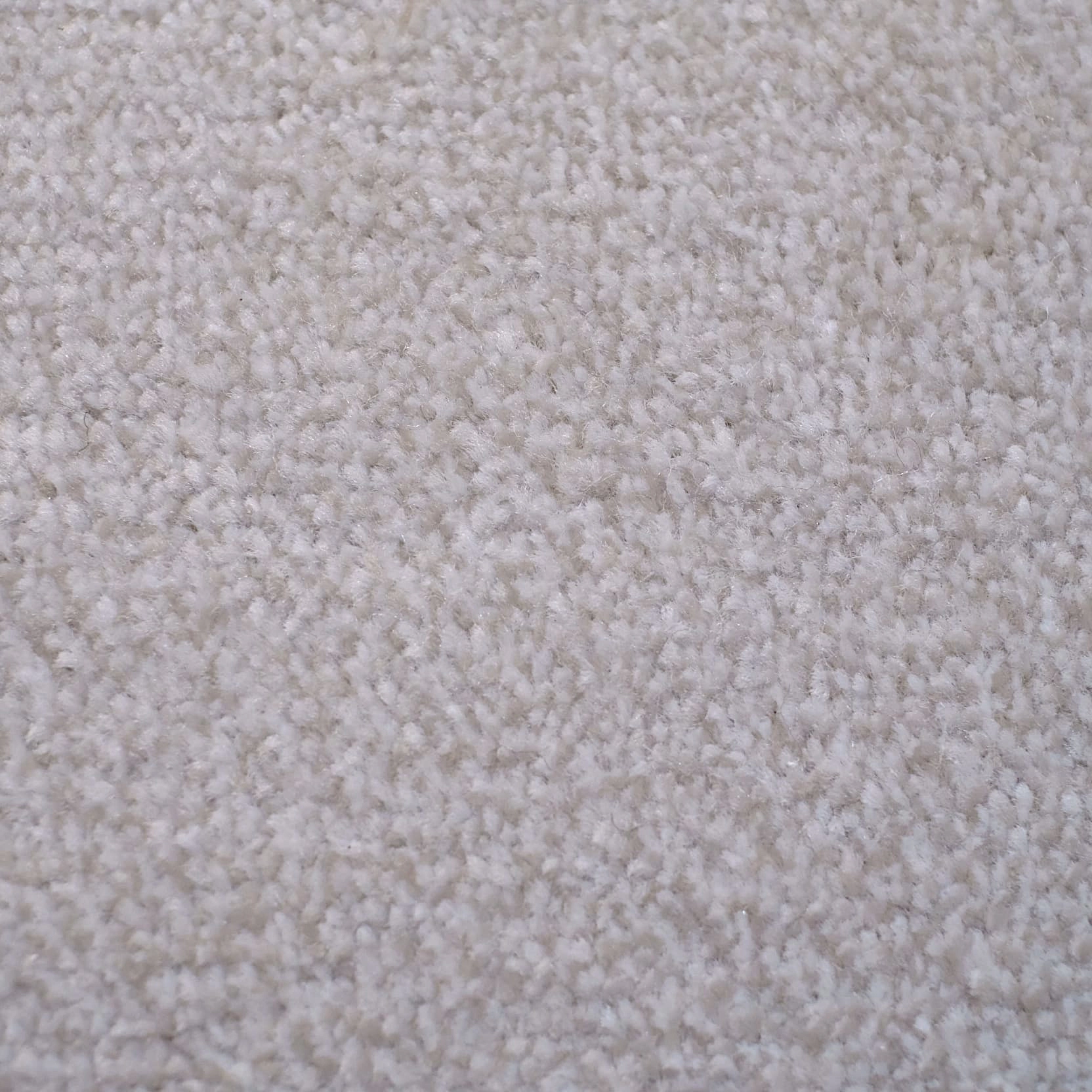 Melbourne-TIMELESS12 Melbourne-TIMELESS12