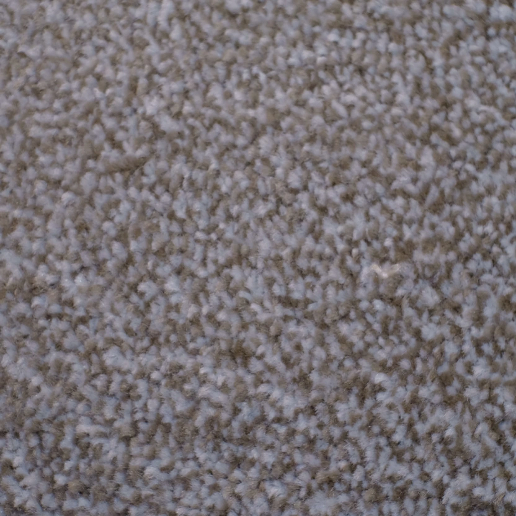 Melbourne-Truffle Melbourne-Truffle