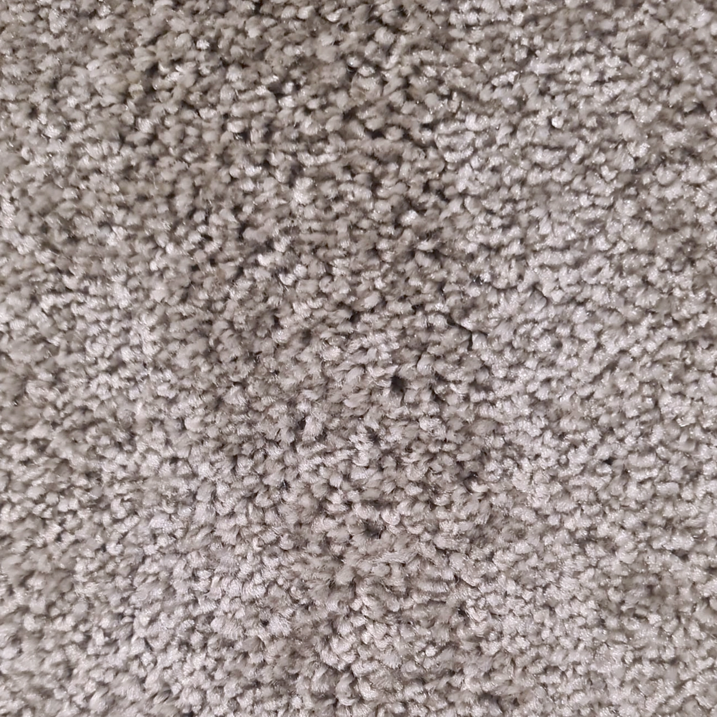 TRINITY SANDS SILVER TRINITY SANDS SILVER