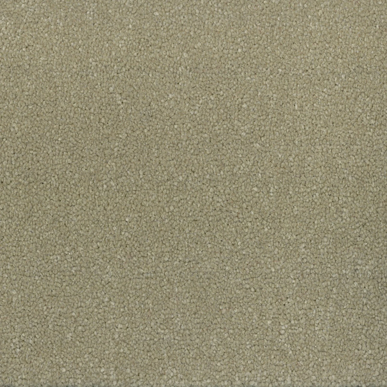 cosmic-twist-pegasus-20x20-main cosmic-twist-pegasus-20x20-main