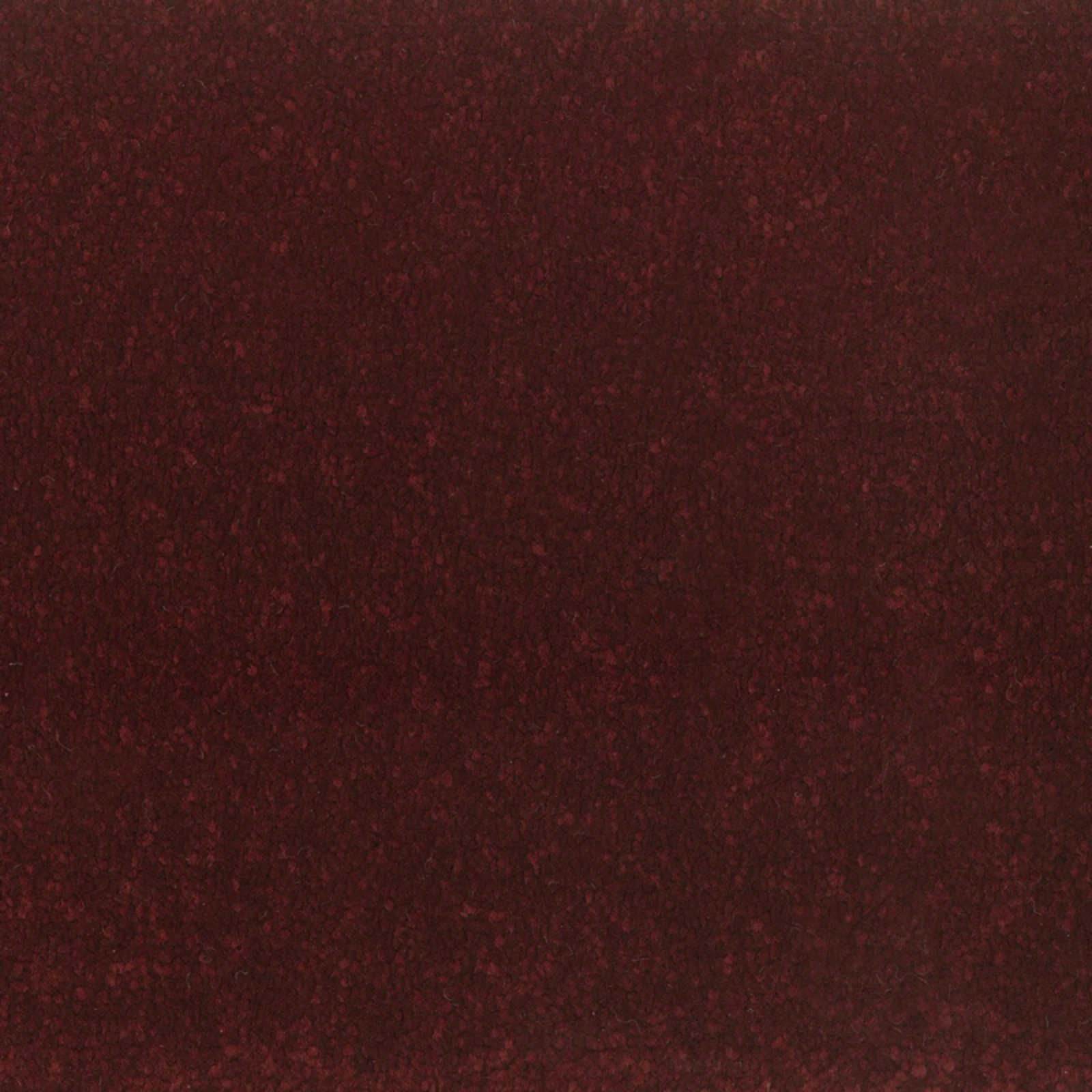 cosmic-twist-phoenix-20x20-main cosmic-twist-phoenix-20x20-main