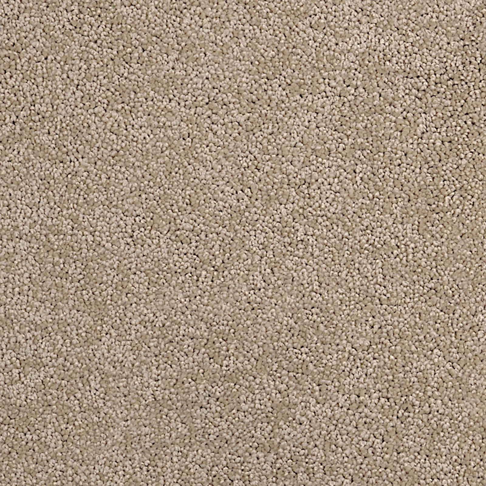 daintree-cooper-creek-20x20-main daintree-cooper-creek-20x20-main