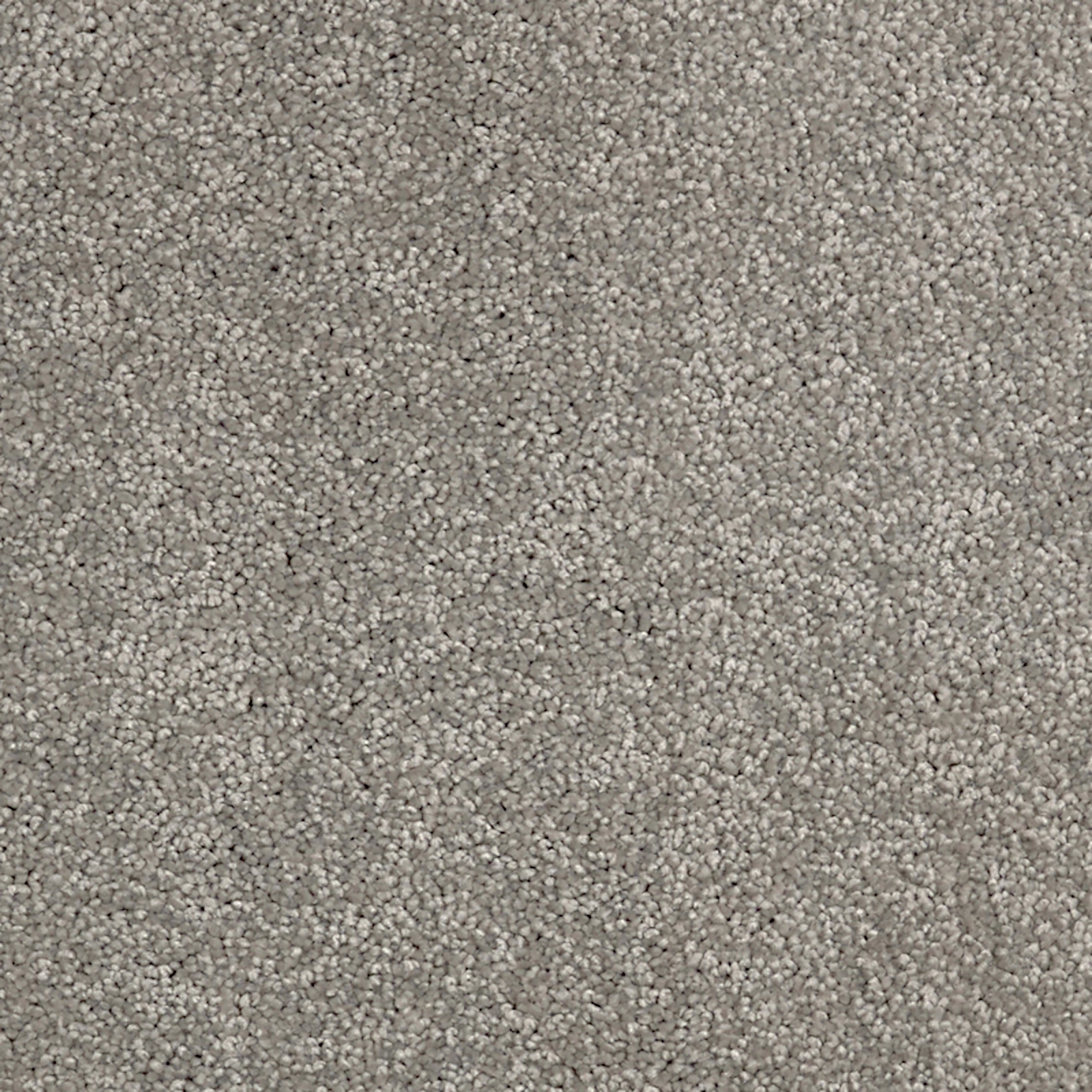 daintree-kulki-walk-20x20-main daintree-kulki-walk-20x20-main