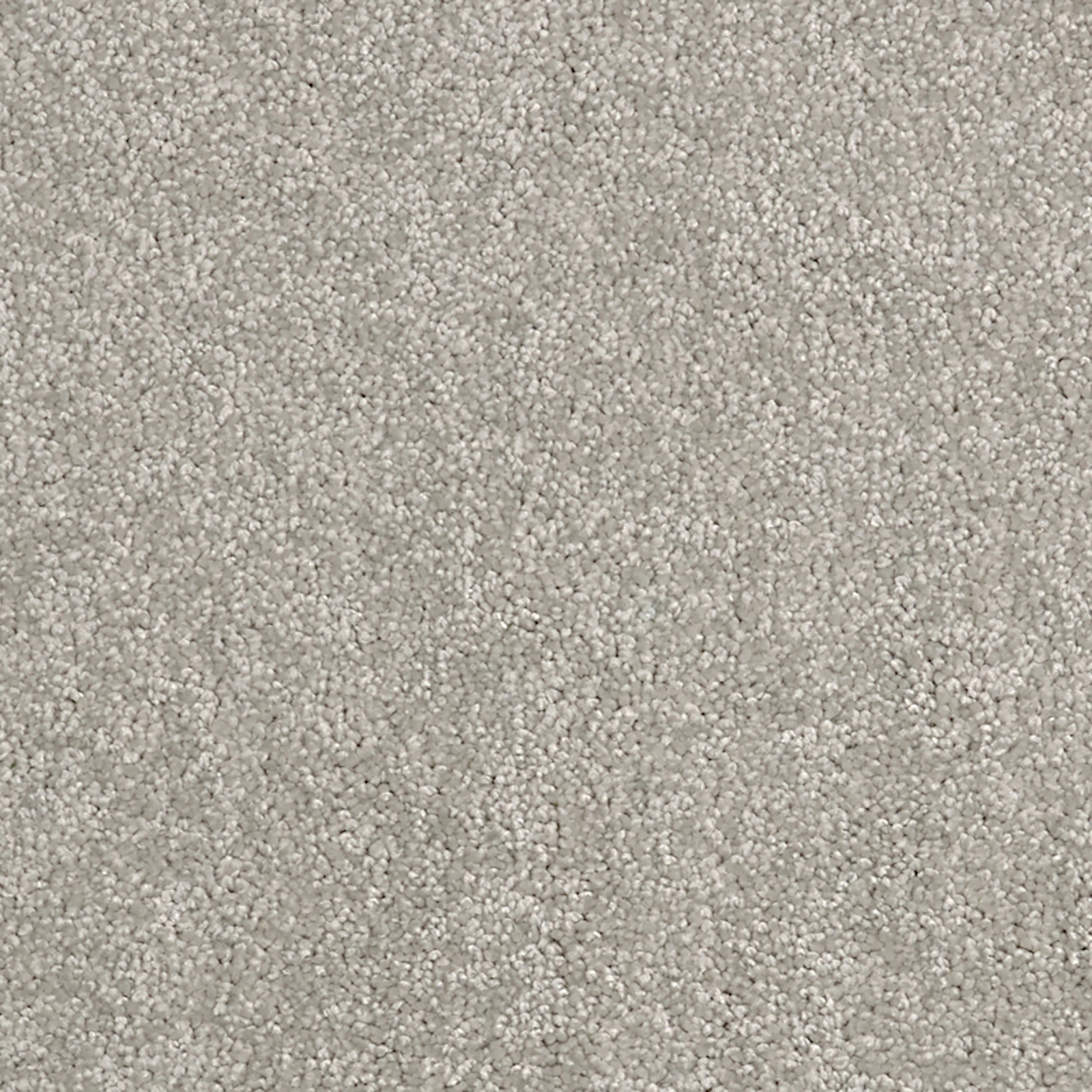 daintree-myall-beach-20x20-main daintree-myall-beach-20x20-main