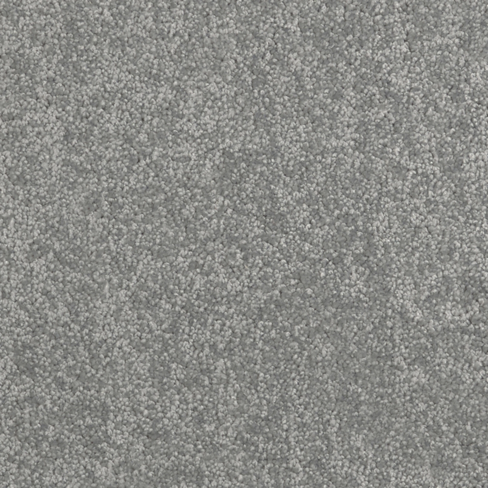 daintree-queensland-20x20-main daintree-queensland-20x20-main