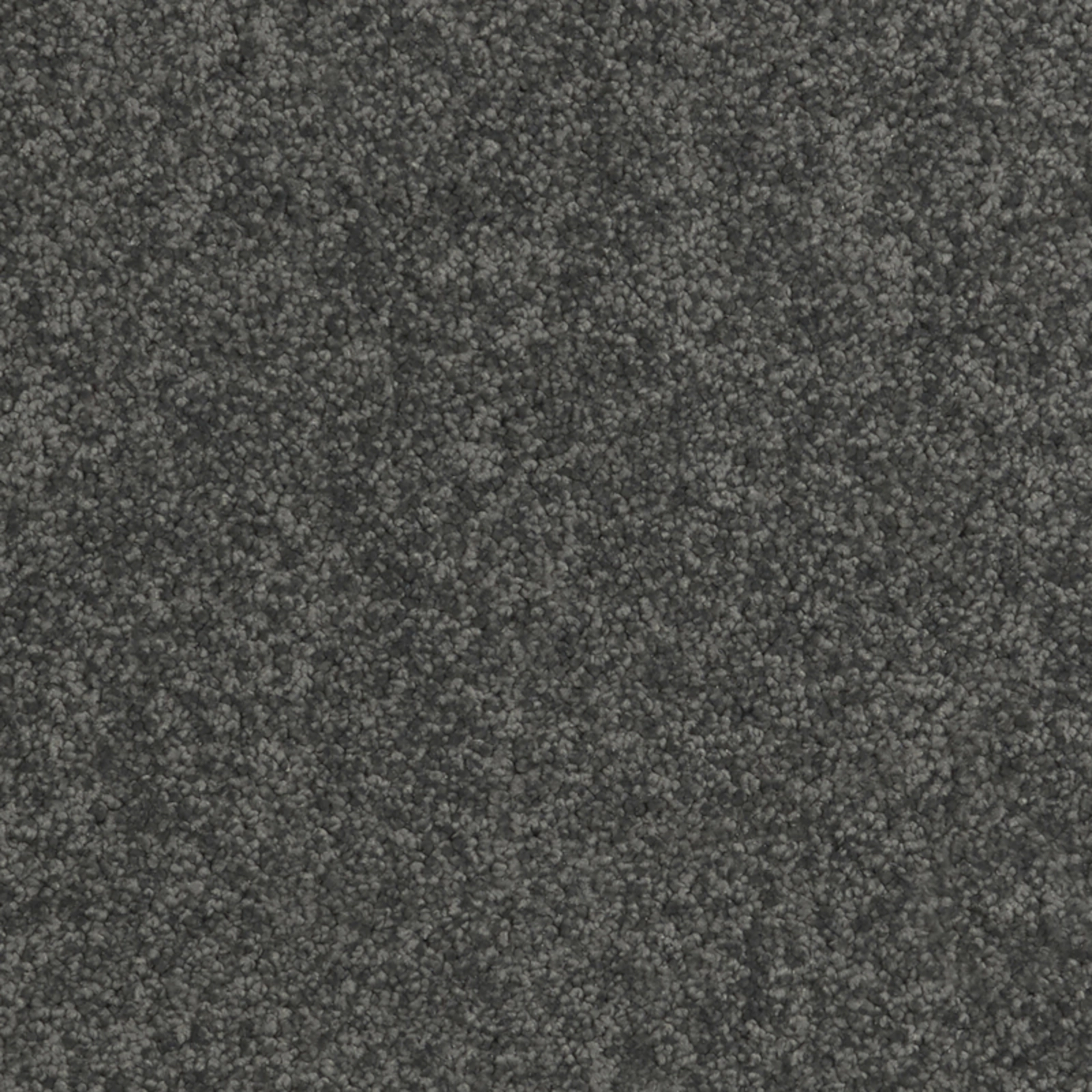 daintree-shannonvale-20x20-main daintree-shannonvale-20x20-main