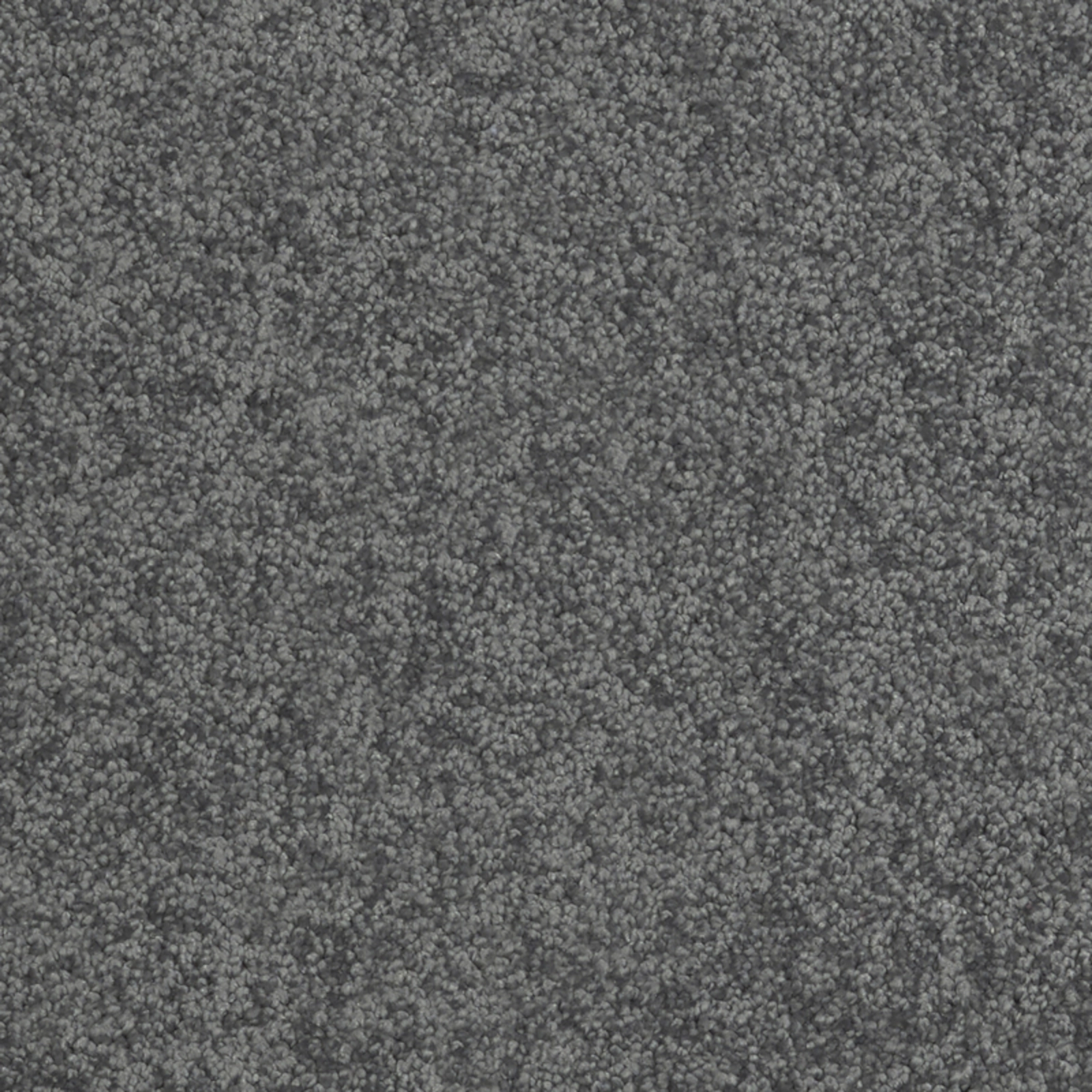 daintree-thornton-beach-20x20-main daintree-thornton-beach-20x20-main