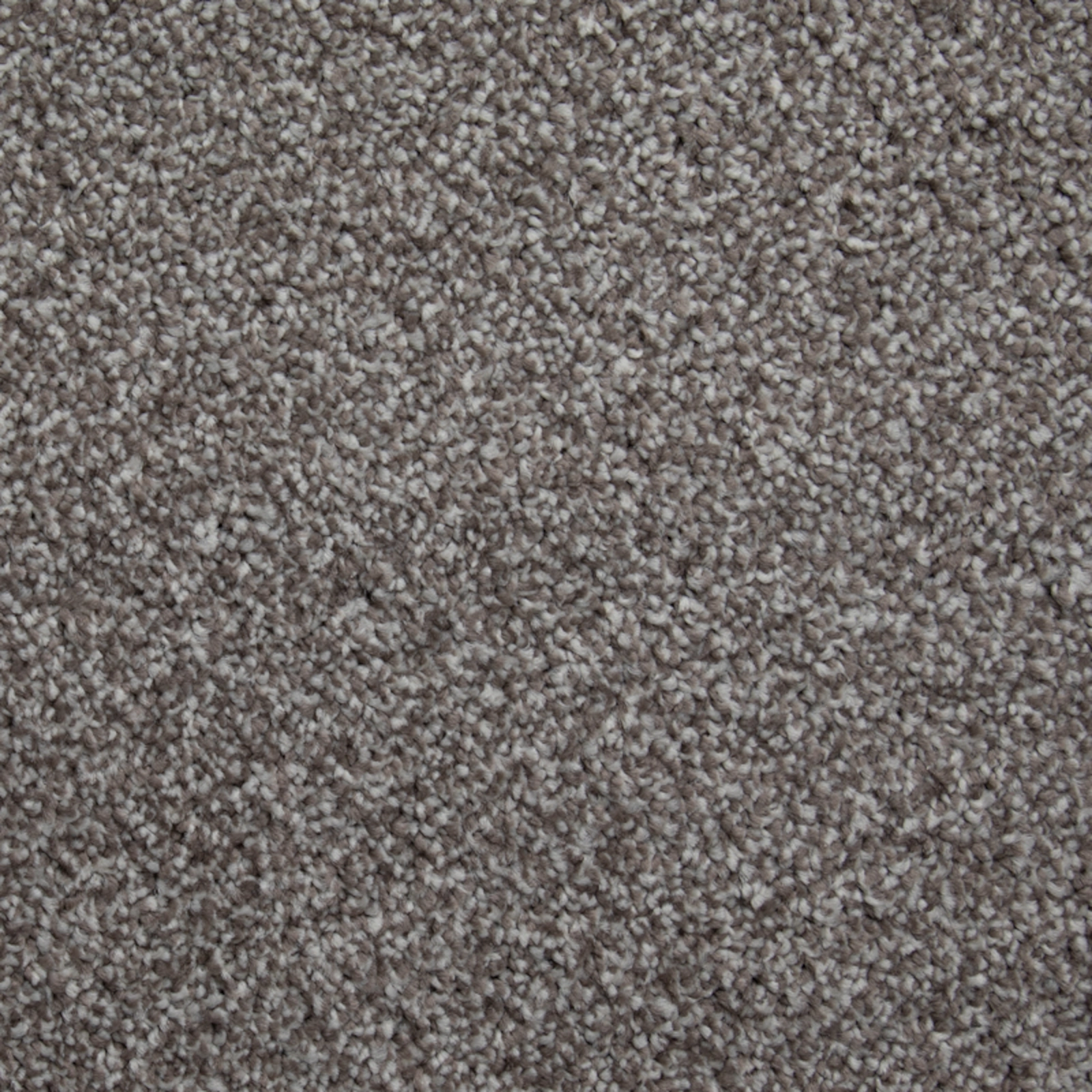 literature-diary-20x20-main literature-diary-20x20-main