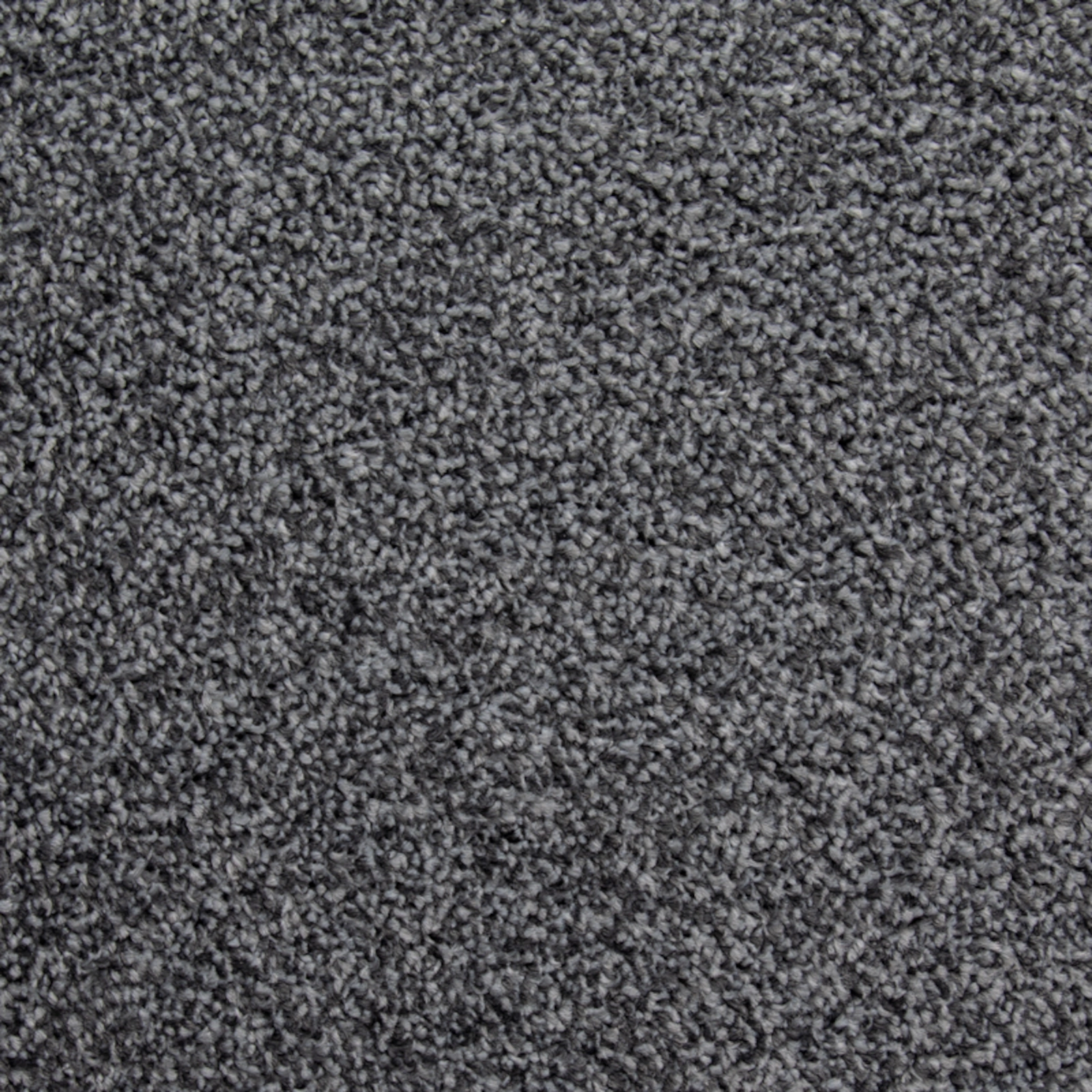 Close-up of a soft-touch polypropylene twist carpet in a "Literature Bookcase" shade, highlighting its comfortable texture and dense pile.
