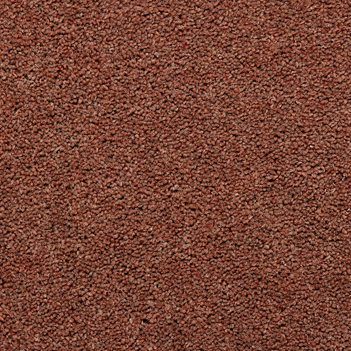 summit-twist-hubbard-20x20-main summit-twist-hubbard-20x20-main