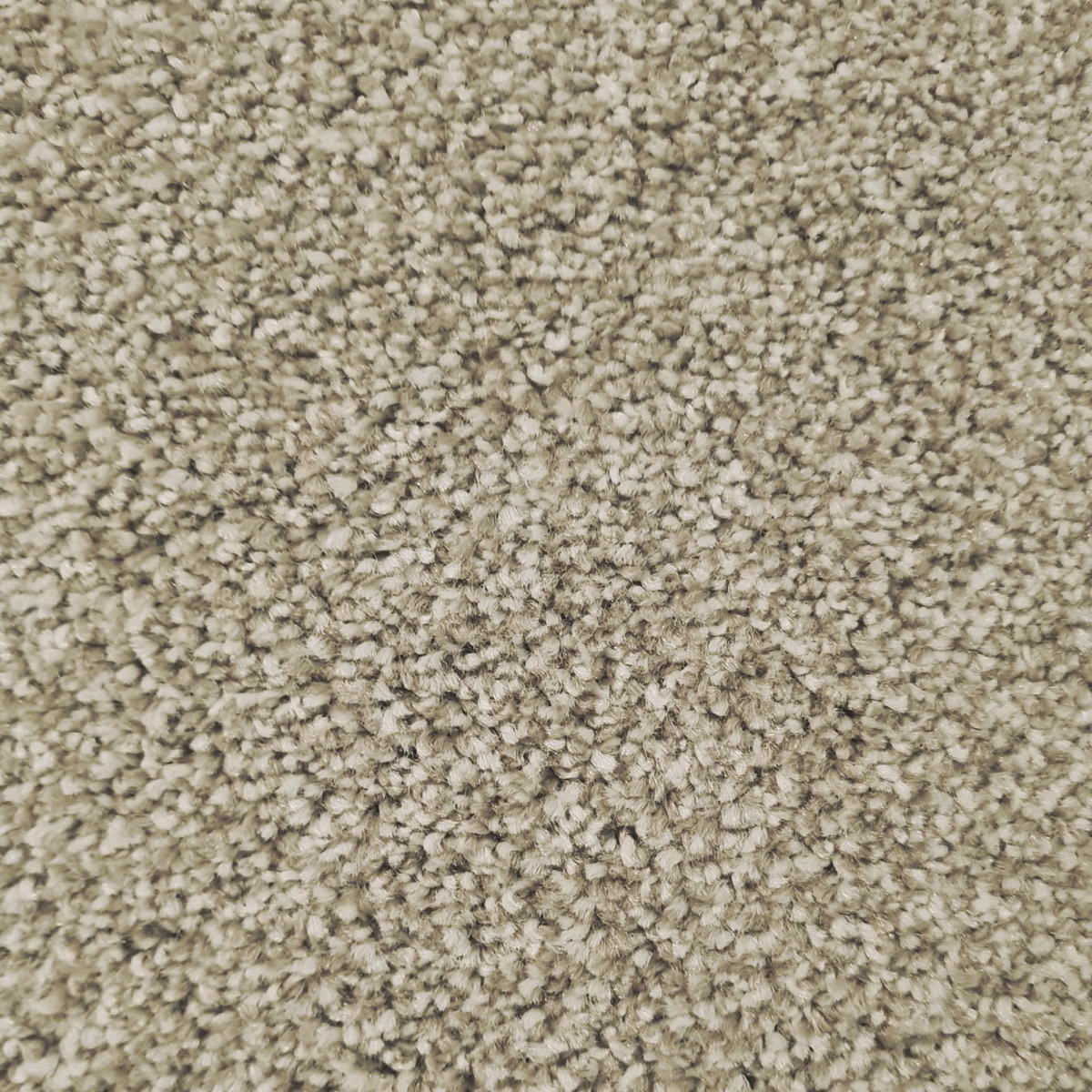 trinity sands -CHAMPAGNE trinity sands -CHAMPAGNE