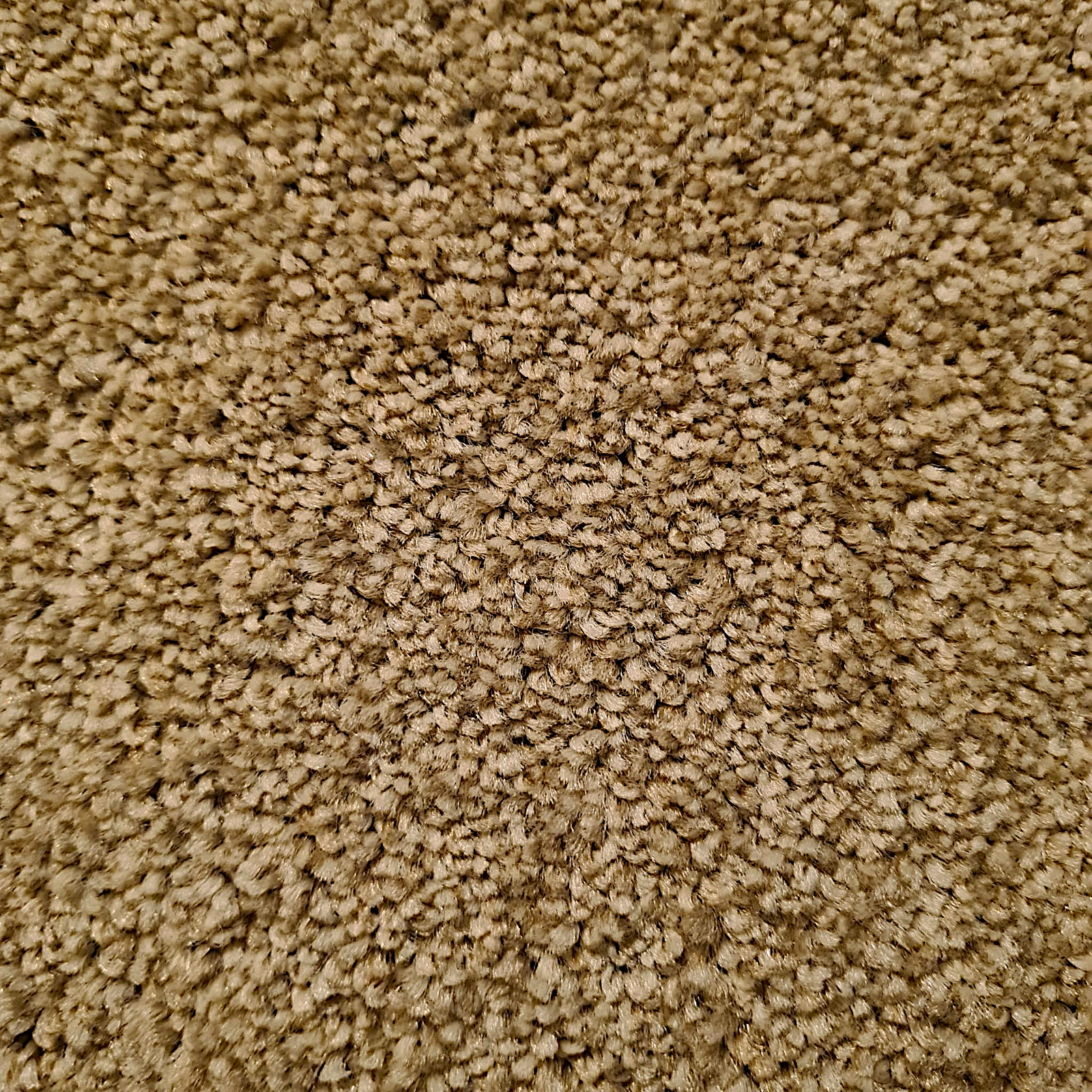 trinity sands -sand(1) trinity sands -sand(1)